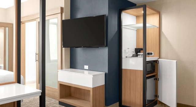 Vierer Studio SpringHill Suites by Marriott Jackson