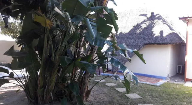 RY Courtyard, Reserva ahora Hotel Oshakati Namibia