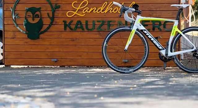 Номер Standard Landhotel Kauzenberg