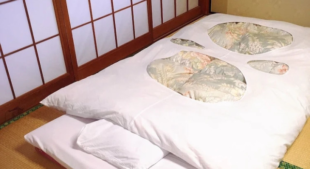 Номер Standard Yugawara Onsen Ryokan Greenso