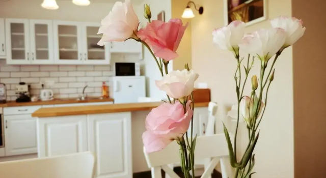 Апартаменты Elisoria Apartments