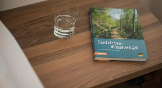 Номер Standard Hotel Salgart