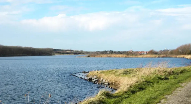Bungalow De Perenboom, Prenota Hotel Westkapelle Walcheren