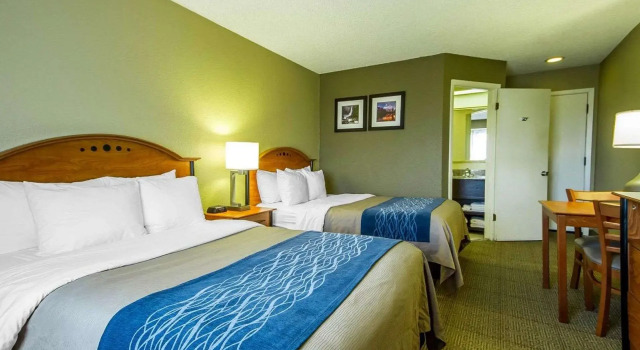 Четырёхместный номер Standard Comfort Inn