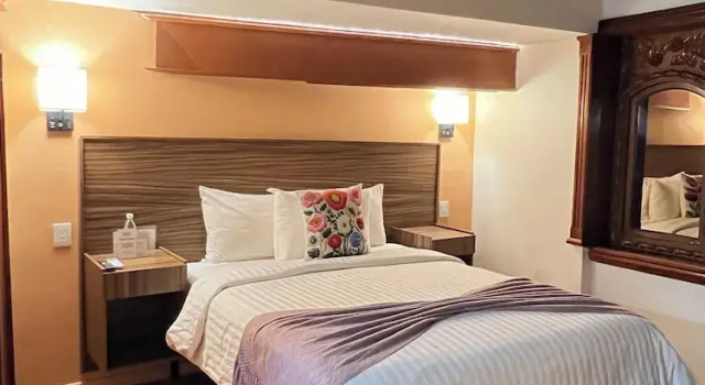 Люкс Suites del Jardín Principal