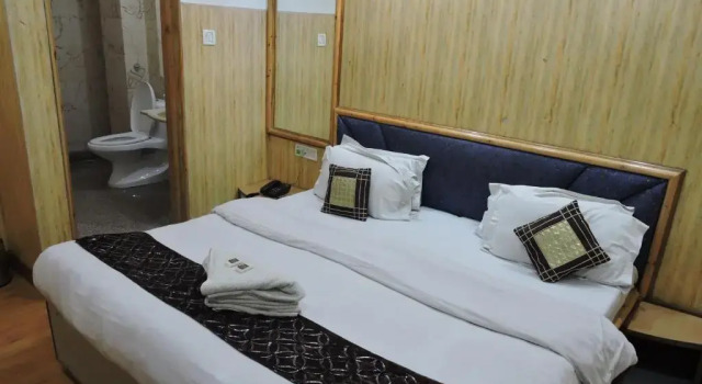 Двухместный номер Standard Hotel Chaman Palace