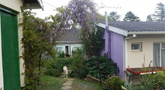 Номер Standard Wild Berry Guest Farm