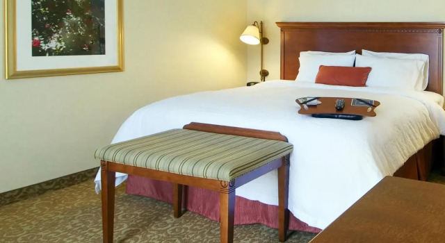 Двухместный люкс Hampton Inn & Suites Lodi