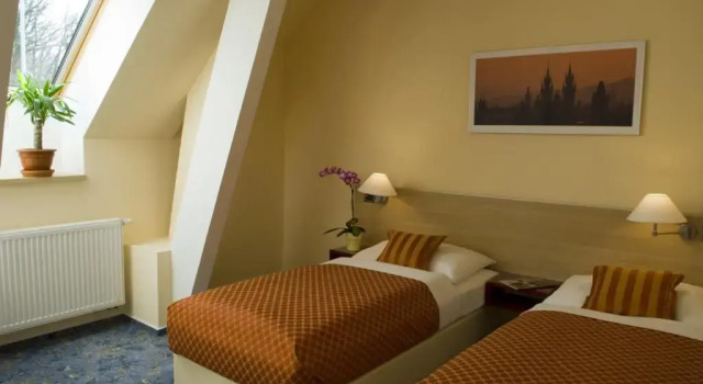 Habitación doble Estándar Hotel Michael