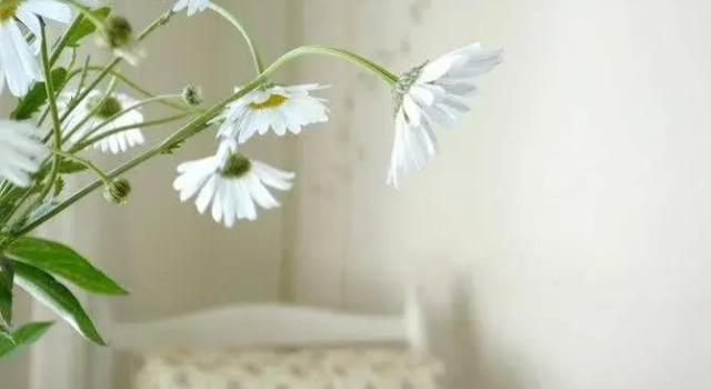 Mariefreds Gästhus, Book Hotel Mariefred Mälaren
