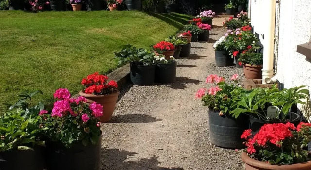 Brambles Bed and Breakfast