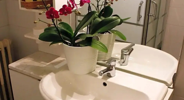 Номер Standard Hotel Parco Fiera