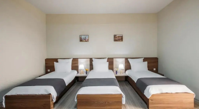 Номер Standard Telavi Inn