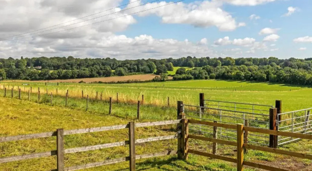 Jabba, The Hut, Boek Camping Campings & glamping in Hampshire, Camping