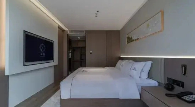 Suite Executive Levia Hotel
