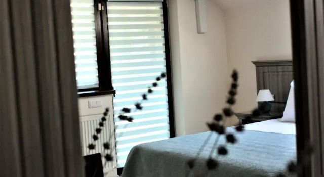 Standard room Silva House