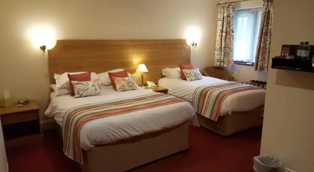Семейный номер Standard Apple Tree Hotel