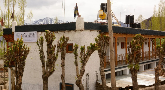 yangphel house, Забронировать Гостевой дом Гостевые дома Лех, рядом с Namgyal Tsemo Gompa, Гостевой дом