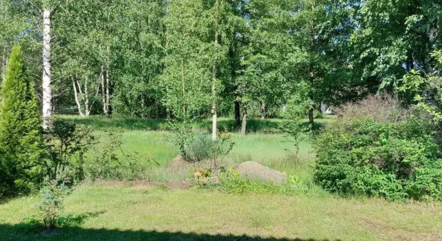 Апартаменты Apartment with sauna in Harjavalta, free WIFI