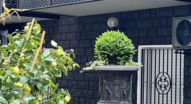 Апартаменты с видом на сад CASA MAJOR Appartamenti