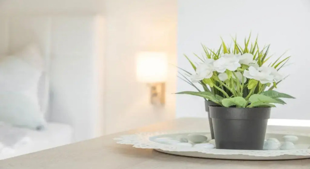 Апартаменты StuWip alps Appartement Sonnenstein