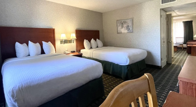 Четырёхместный люкс Park Suites Hotel