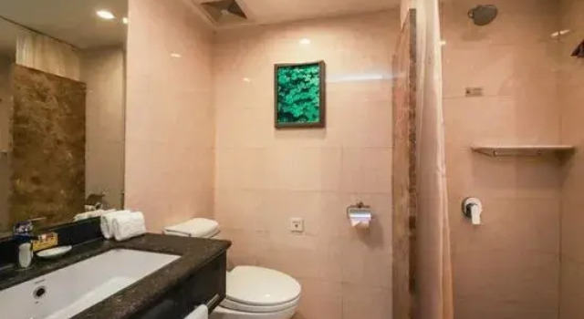 Люкс Business Zhengzhou Shanhe Hotel (Henan Provincial People's Hospital)