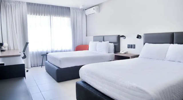Номер Executive Hotel Sicomoro