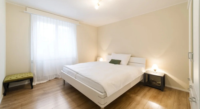 Апартаменты Comfort RELOC Serviced Apartments Wallisellen 36