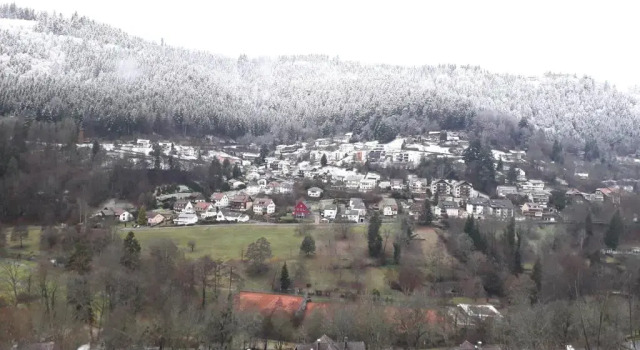 Апартаменты Ferienwohnung in ruhiger Waldrandlage