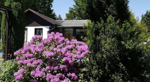 Ferienhaus-Maxen, Book Hotel  