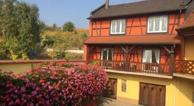 Gite Fruehmess, Book Hotel Hotels in Alsace with a Pool, Swimming Pool