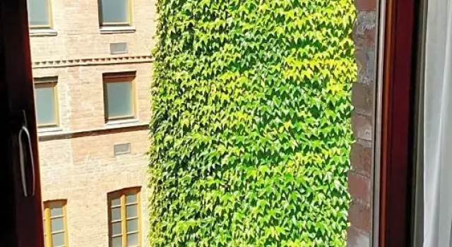 Номер Standard Hotel Fabrik Wien
