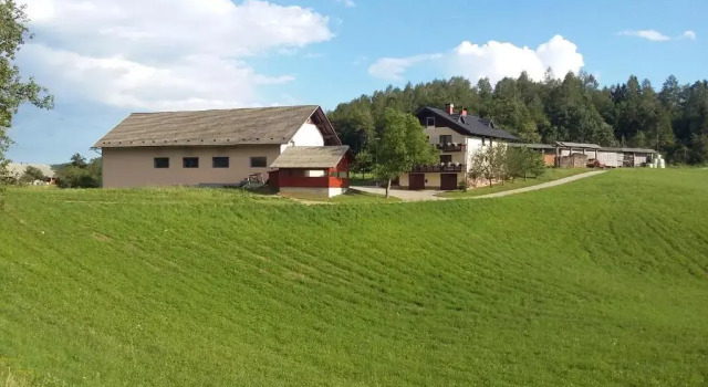 Apartment Vrtacnik, Забронировать Апартаменты/квартира Апартаменты Среднесловенского региона, Апартаменты/квартира