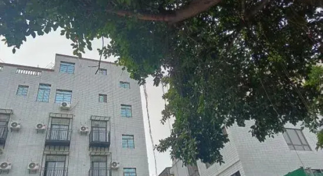 Xiamen Mushu Apartment (Yuanbo Garden), Book Apartment Xiamen Fujian