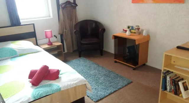 Номер Standard Pension Am Piko-Platz
