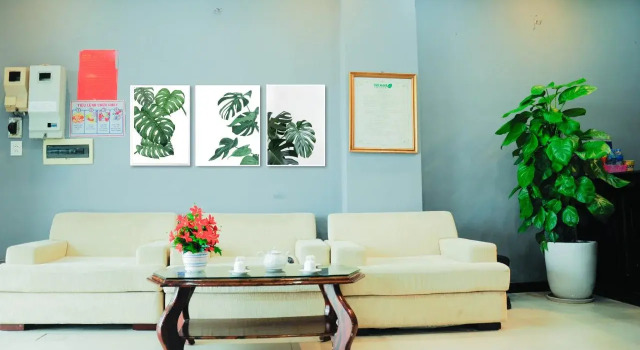 Thao Nguyen Hotel, Prenota Hotel Da Nang Da Nang