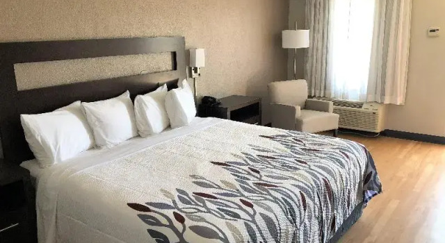 Номер Standard Red Roof Inn St George, SC