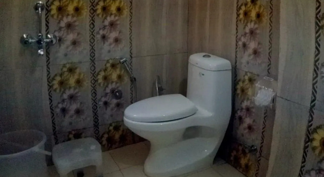 Двухместный номер Deluxe Goroomgo Shambhu Darjeeling