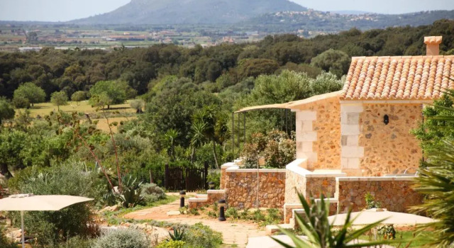 Suite Júnior Son Siurana