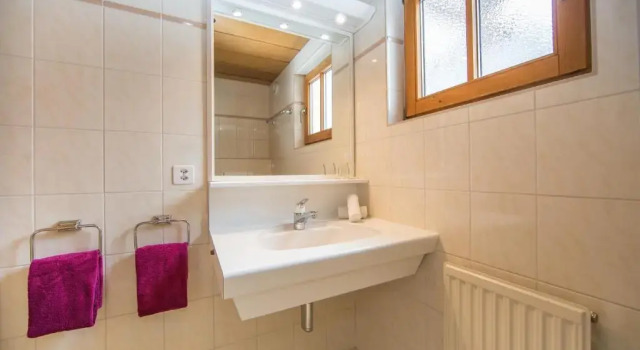 Двухместный номер Economy Apartment Steinbock