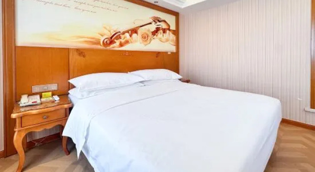 Люкс Superior Vienna Hotel (Cangzhou Yanbai)