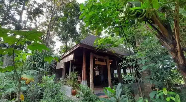 Kung Nok Tha Resort Nakhon Si Thammarat, Забронировать Курортный отель Отели Южного Таиланда 4 звезды, 4*
