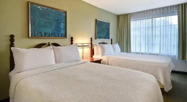 Четырёхместный люкс SpringHill Suites by Marriott Atlanta Buford/Mall of Georgia