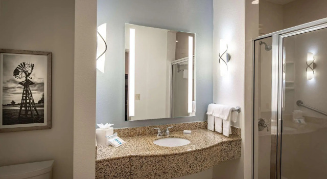 Двухместный номер Standard Hilton Garden Inn Granbury