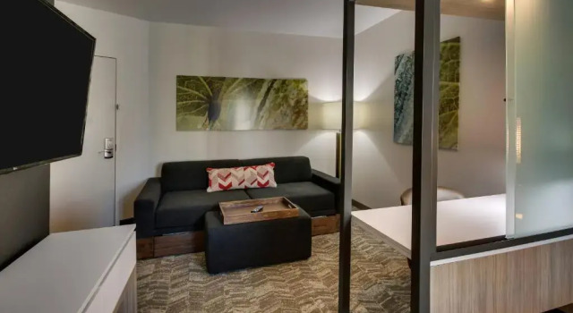 Двухместный люкс SpringHill Suites by Marriott Gulfport I-10