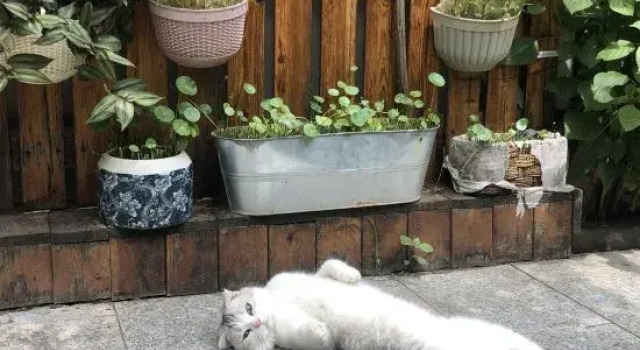 Kitten  hotel, Book Hotel Hoteller i Beijing Province med parkering, Parkering