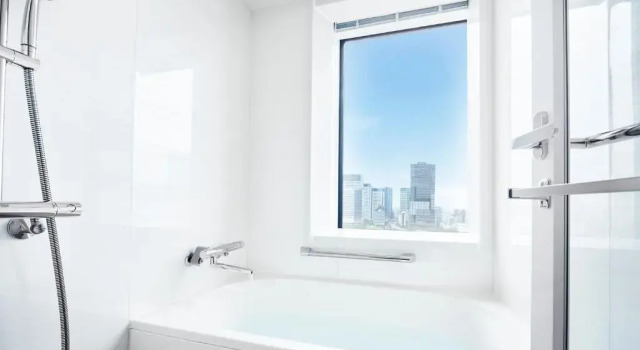 Двухместный номер Deluxe Hotel JAL City Tokyo Toyosu