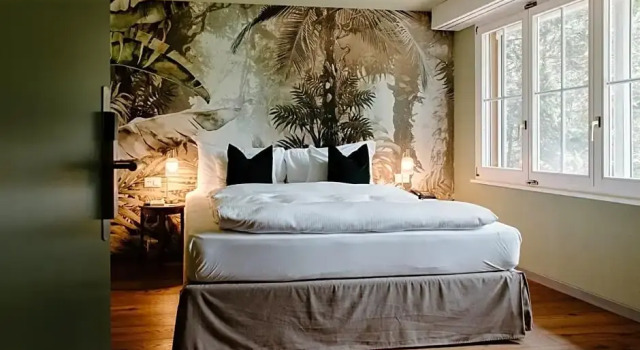 Двухместный номер Standard с видом на сад Hotel Schloss Hünigen