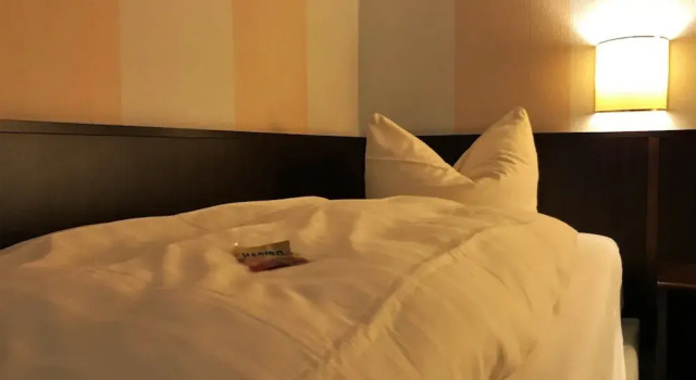 Номер Economy Hotel Senator